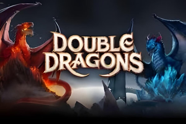 Double Dragon slots – free play demo and real money casinos